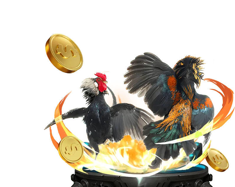 Baccarat Trực tiếp New88