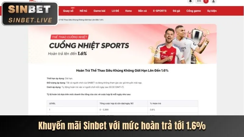 Các Bộ Môn Thể Thao Đa Dạng Tại New88